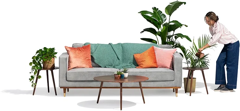 A woman waters her fern next to a grey sofa.